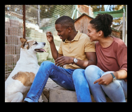 Havlama Bilgeliği: Köpek Eğitim Tekniklerinde Gezinme