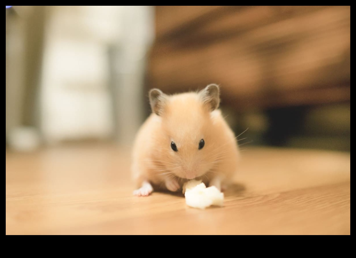 Hamster Oyun Zamanı Devam Ediyor: Güvenli Açık Hava Keşif Alanları Oluşturma