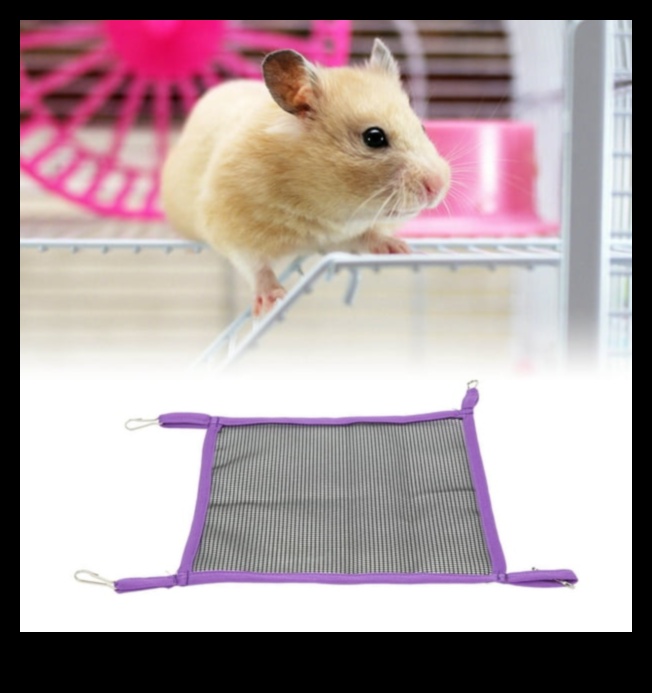 Hamster Hamakları ve Salıncakları: Konfor ve Eğlence Katıyor