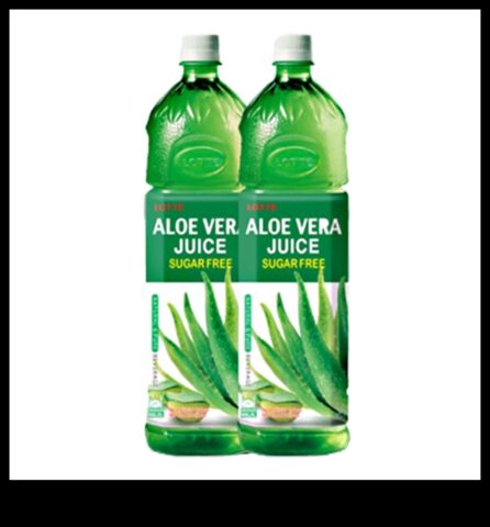 Hidrasyon Yükseltme Aloe Vera İçecekleri Daha Sağlıklı Bir Siz İçin